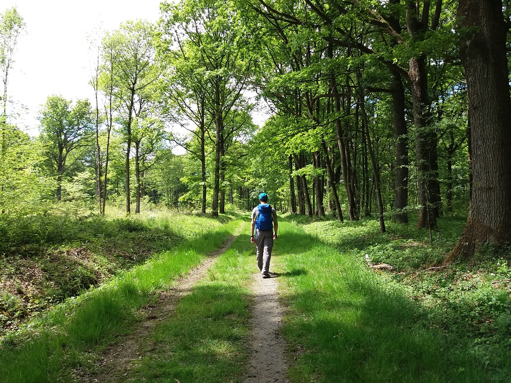 De Rambouillet à Le Perray  Randonnée  Shunrize