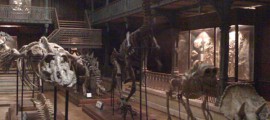 musee-cinema-preview