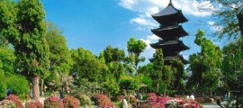 kyoto-japan-preview