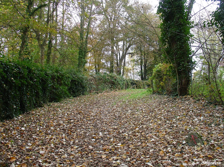 sentier Le Mée-sur-Seine