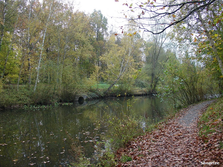 lac de Cesson
