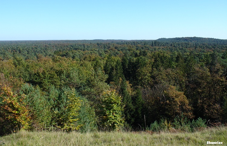 Forêt de Fontainebleau - Le Lac Vert