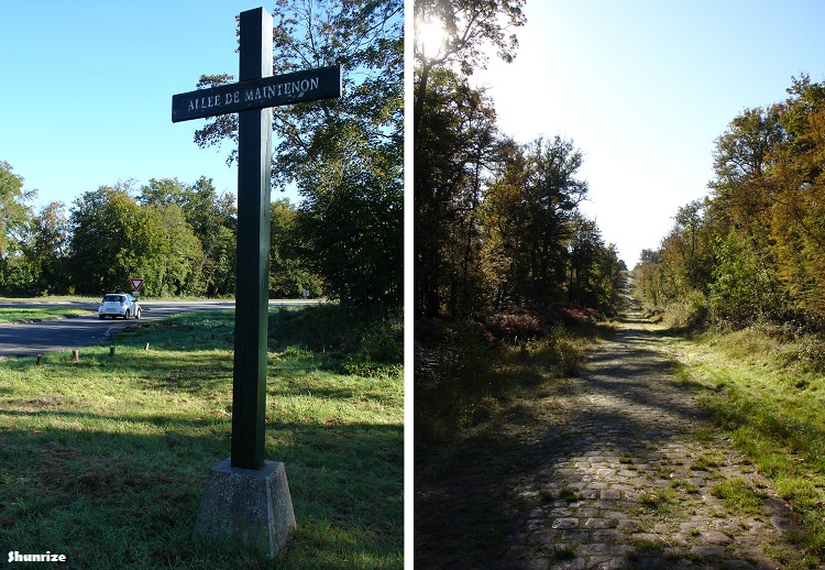 Forêt de Fontainebleau - Allée de Maintenon