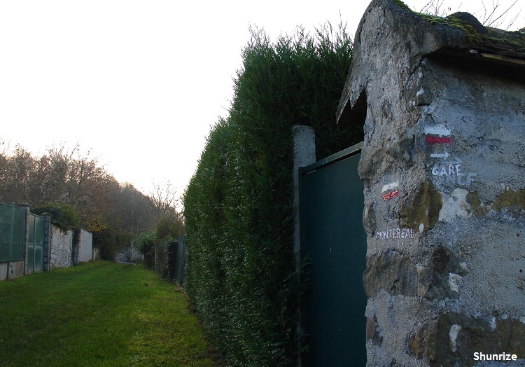 le chemin des vaches à Champagne-sur-Seine
