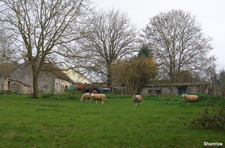 ferme à La Grande Paroisse