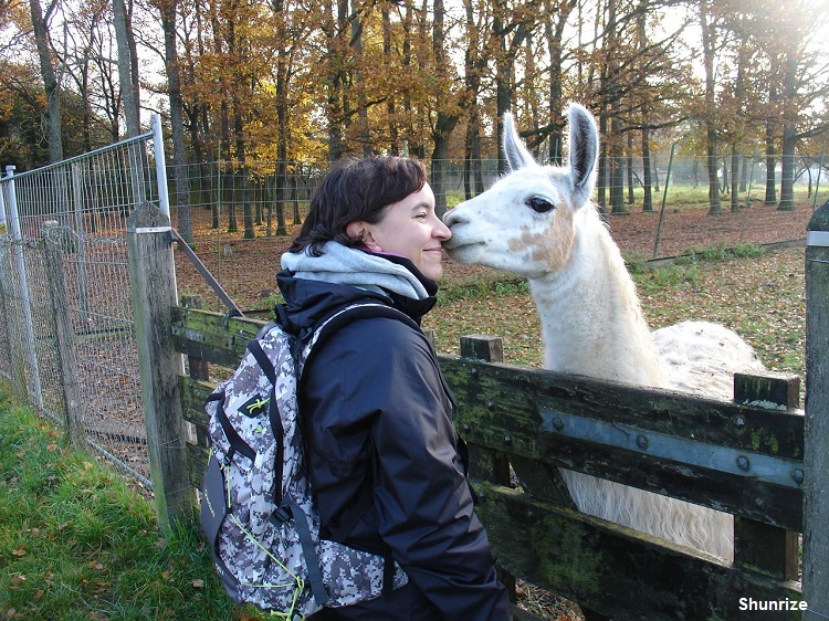 lama à Le Panorama