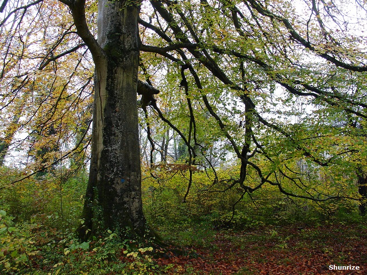 La promenade du Petit Barbeau