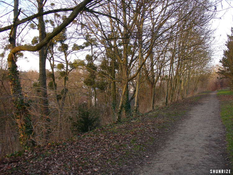 Vallons de la Bièvre Randonnée Shunrize