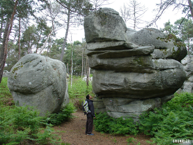 Les Mamouths