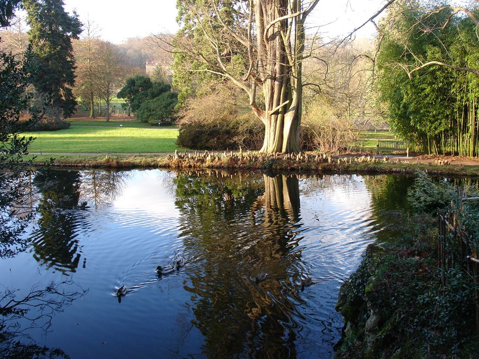 ru d'Aulnay à l'arboretum de la vallée aux loups