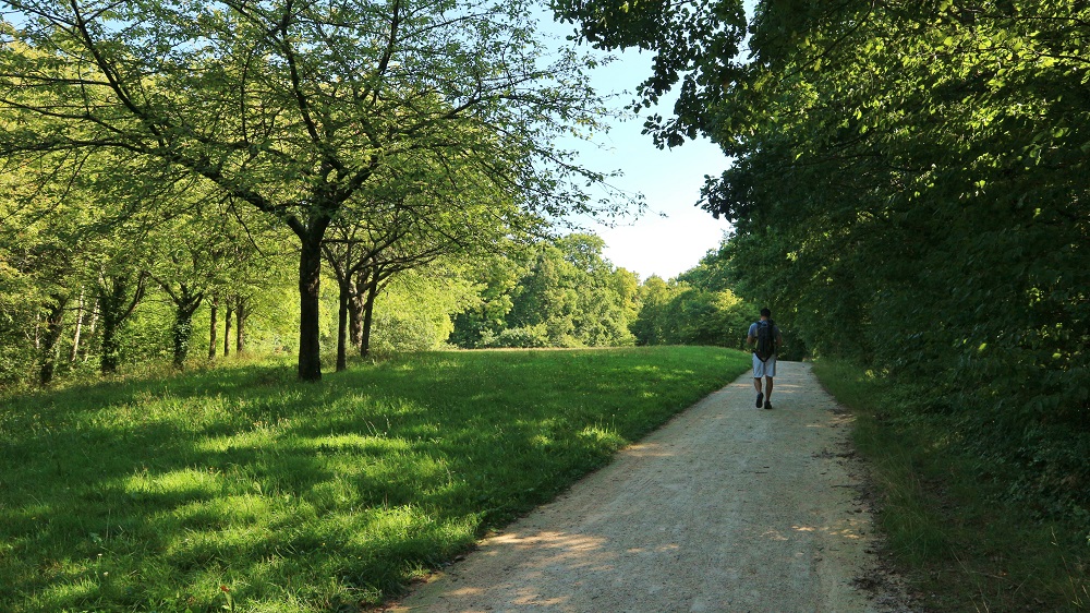 parc forestier de mare Adam