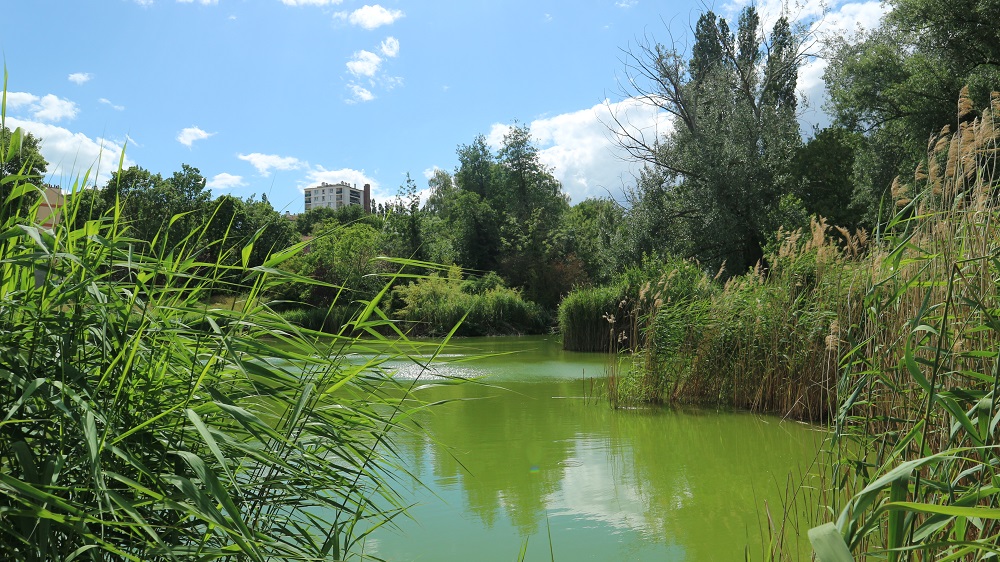 L'Étang du Far-West au parc Montreau à Montreuil