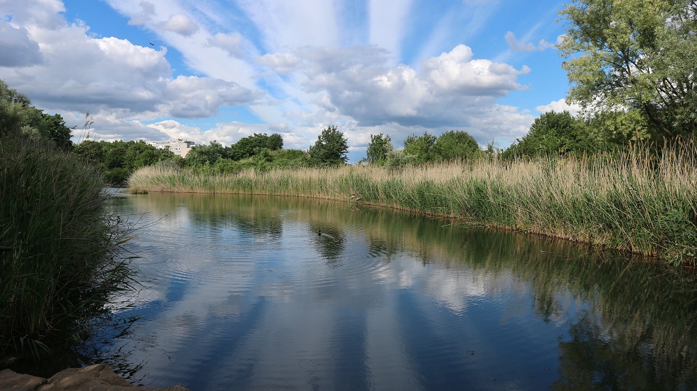 étang du parc Jean-moulin-les-guilands à Montreuil