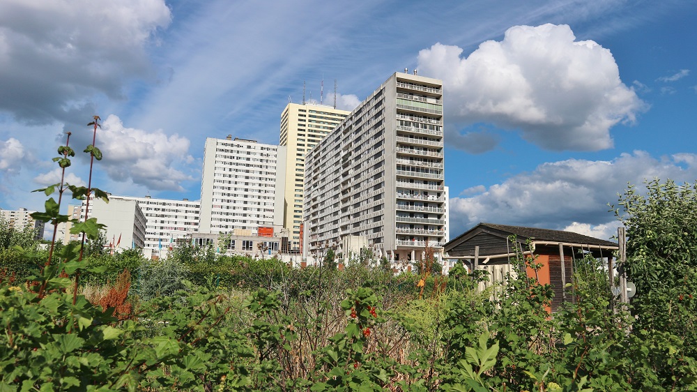 jardins partagés du parc Jean-moulin-les-guilands à Montreuil