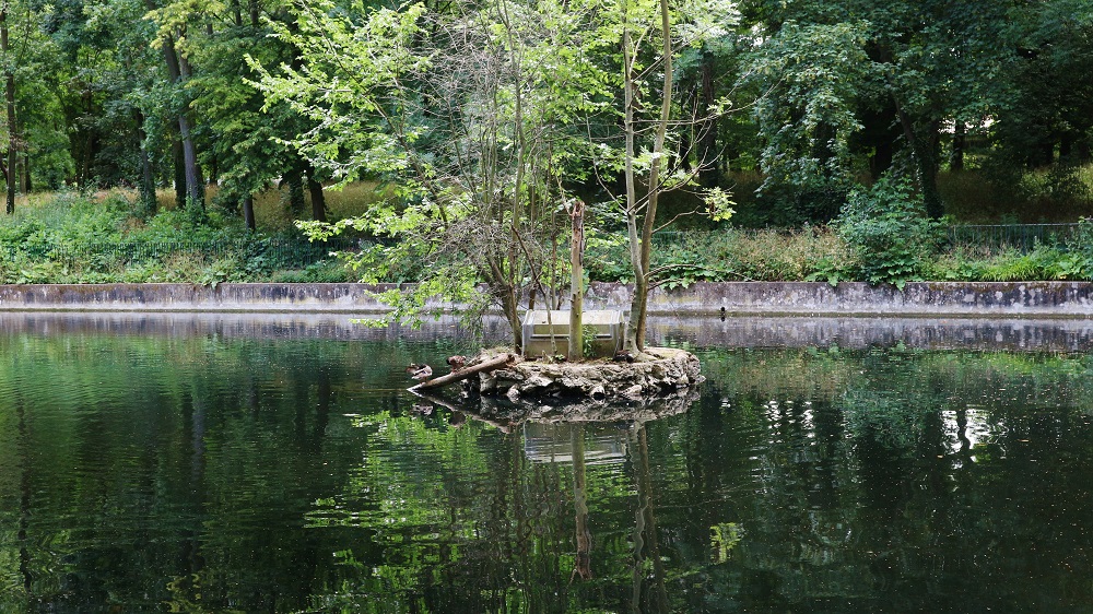 mare babeuf du parc Montreau à Montreuil