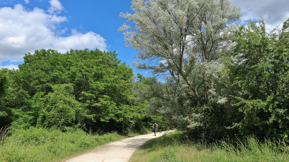 parc des Beaumonts à Montreuil