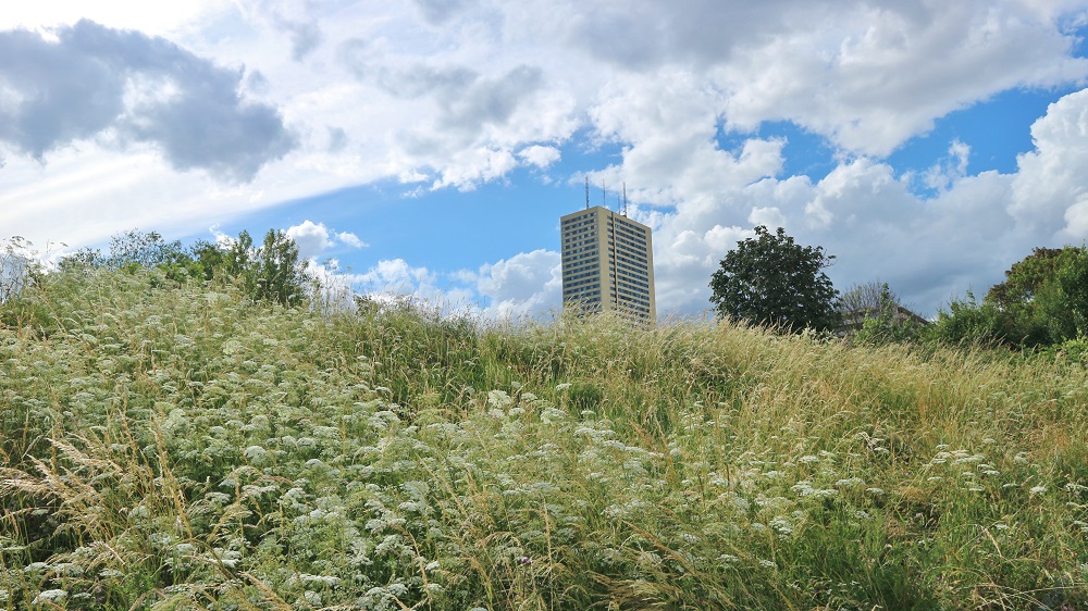 parc Jean-moulin-les-guilands à Montreuil