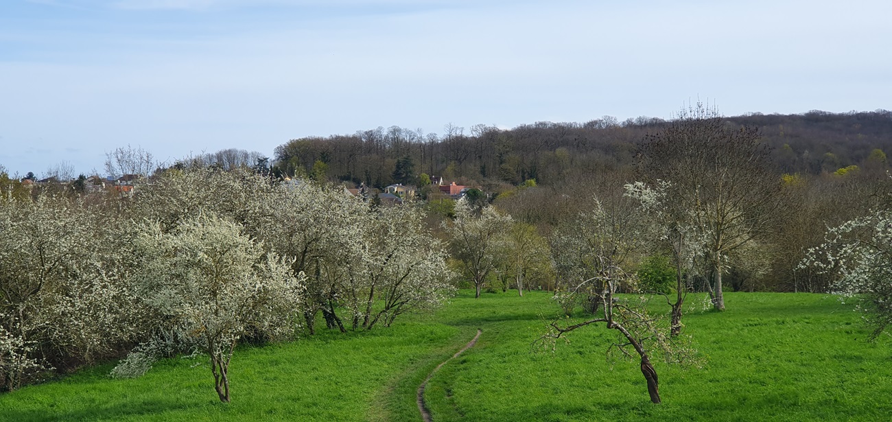 Verger Point de Vue du Chemin des Cormaillons