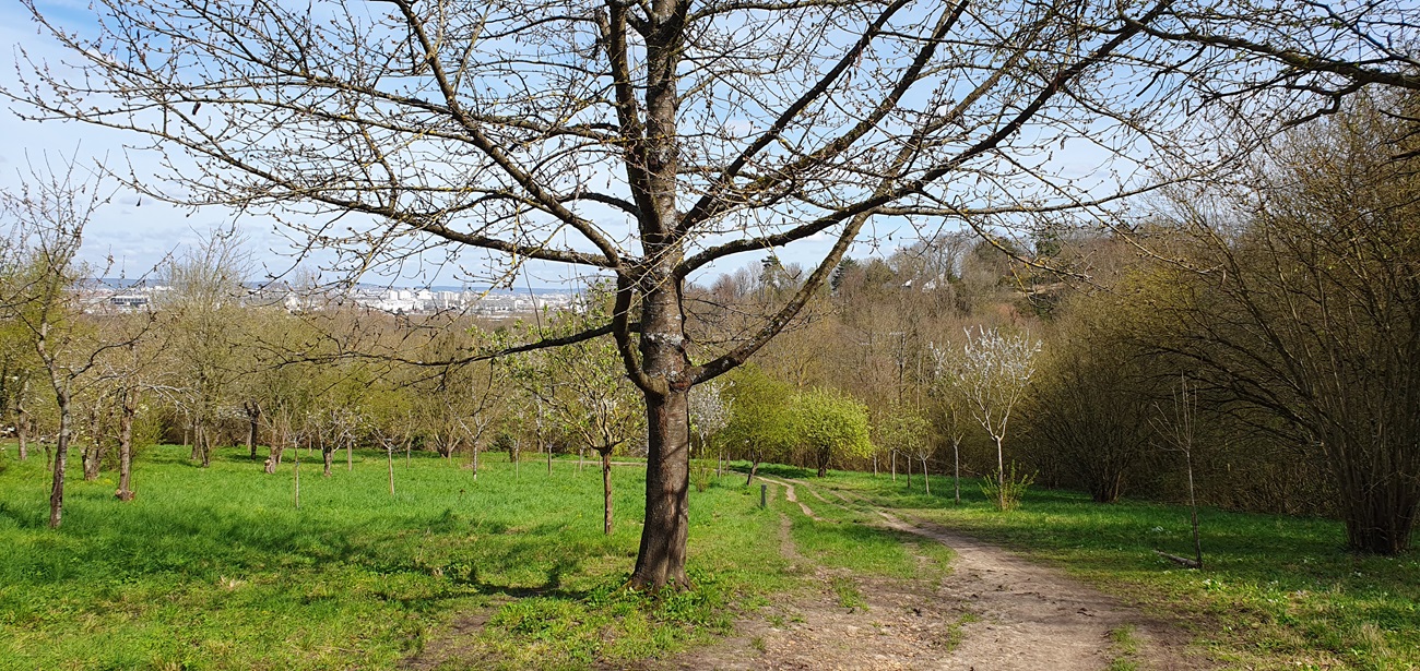 vergers vallons gallicourts